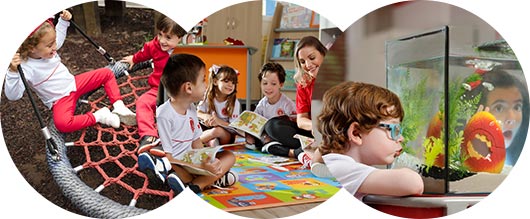 Maple Bear Rondonópolis